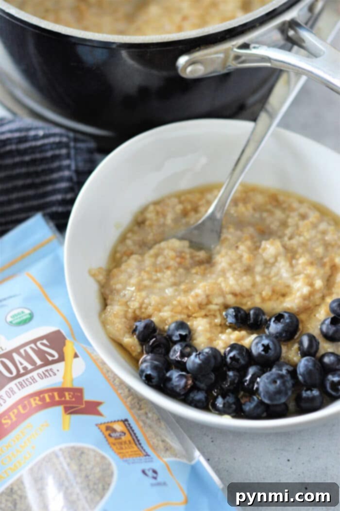 Bowl of steel cut oatmeal with blueberries, next to a package of steel-cut oats and a pot in the background, illustrating how to cook steel-cut oats.