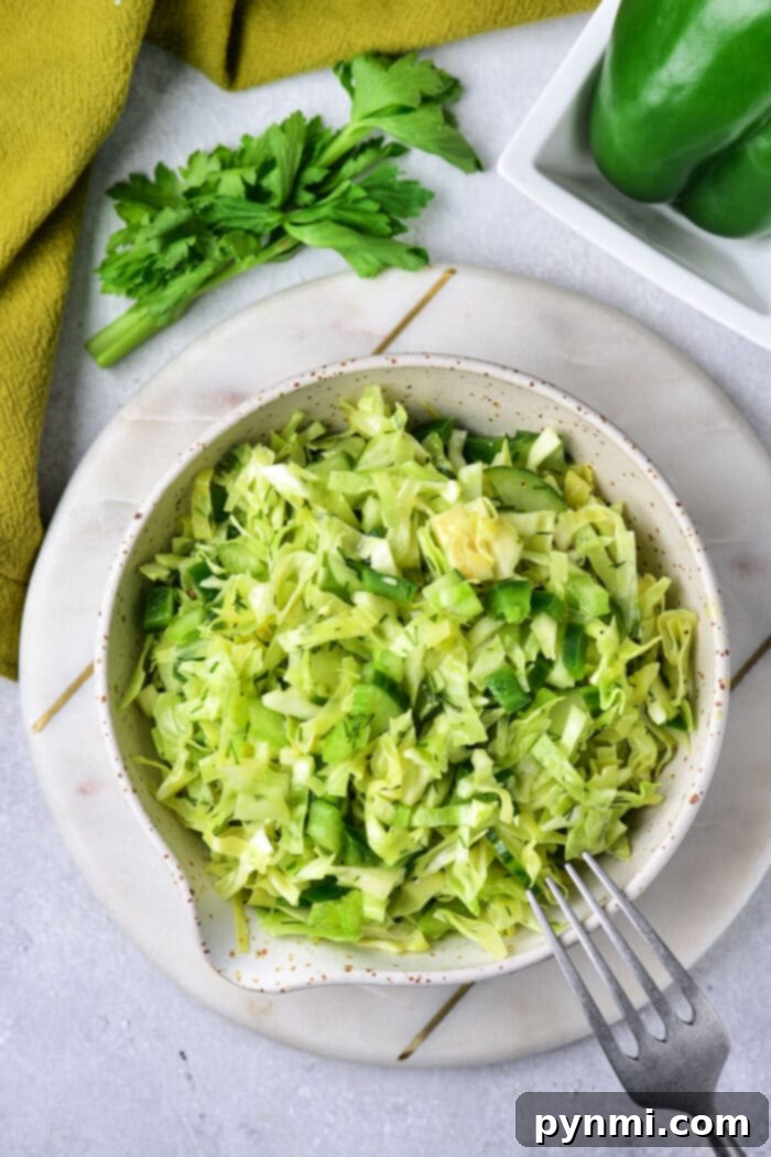 Effortless Asian Cabbage Slaw 2 Easy Cabbage Salad with a vibrant mix of shredded green cabbage, carrots, bell peppers, and a light dressing in a large white bowl.
