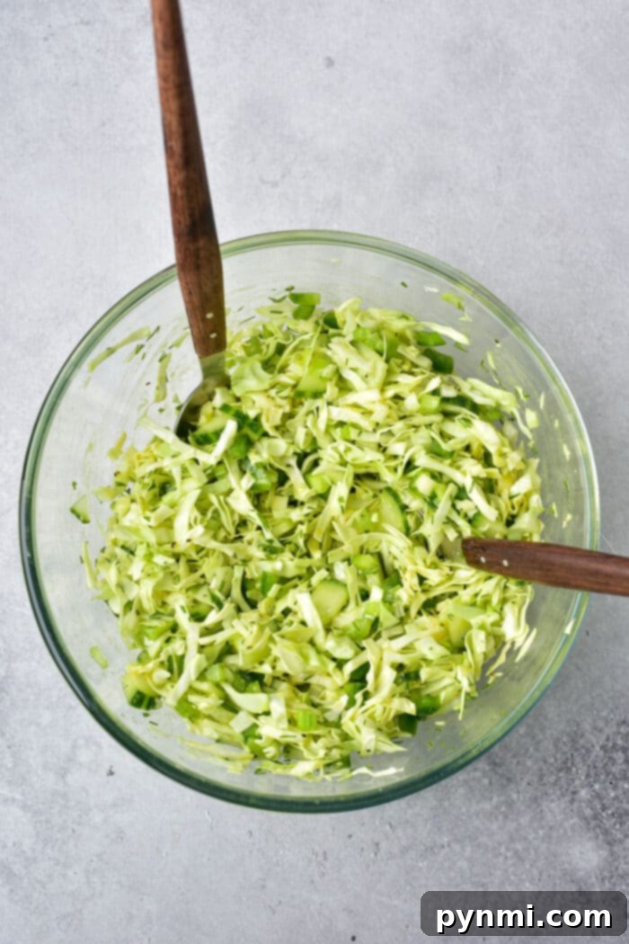 Effortless Asian Cabbage Slaw 5 A fresh green cabbage salad with visible cucumber slices and dill sprigs, served in a speckled bowl.