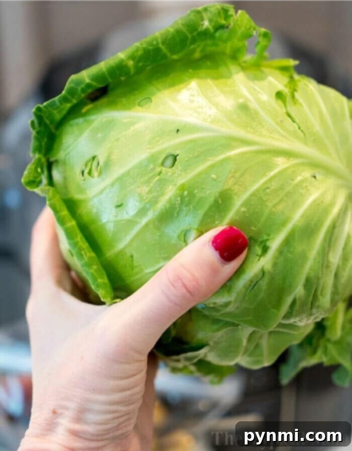 Unlock the Flavor of Cabbage 2 how to cook green cabbage
