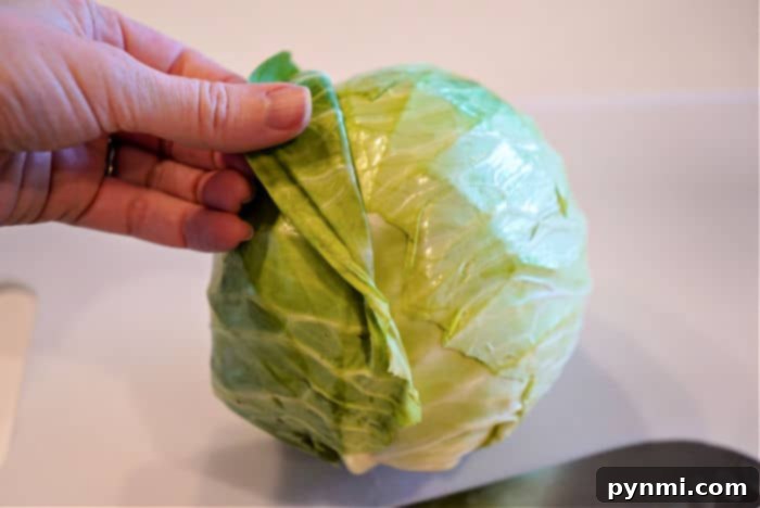 Unlock the Flavor of Cabbage 3 cooking green cabbage