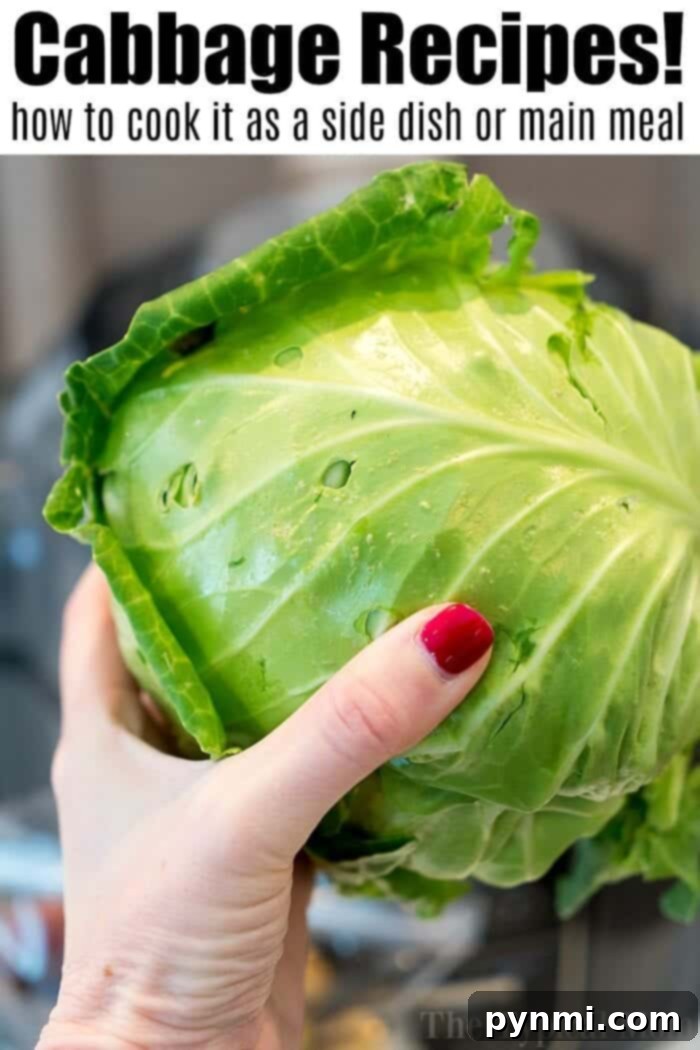 Unlock the Flavor of Cabbage 8 how to cook cabbage
