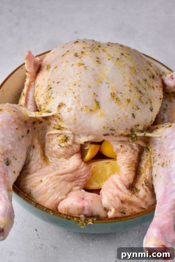 Savory Stuffed Whole Chicken 2 whole stuffed chicken, golden brown and garnished with herbs