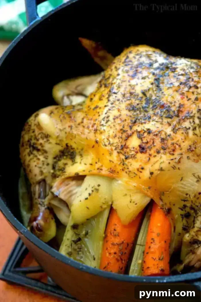 Savory Stuffed Whole Chicken 5 Beautifully roasted stuffed whole chicken, garnished with fresh herbs and lemons.