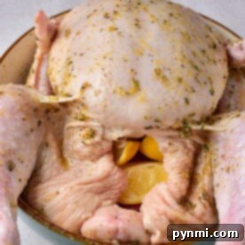 Savory Stuffed Whole Chicken 6 Stuffed whole chicken seasoned with herbs and filled with lemon wedges, nestled in a bowl.