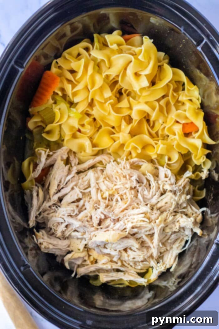 Homestyle Slow Cooker Chicken and Egg Noodles 2 Slow Cooker Egg Noodles and Chicken with savory broth and vegetables.