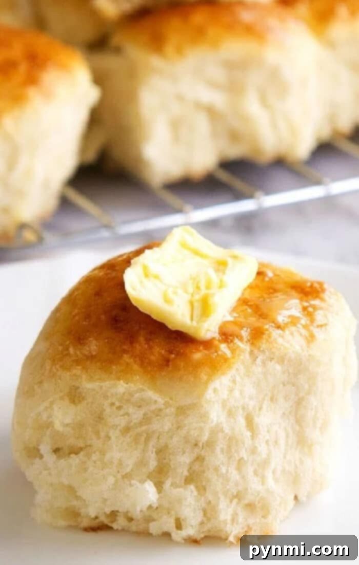 Bake Fluffy Frozen Rolls Easily 2 How to Bake Frozen Rolls - Deliciously Fluffy Dinner Rolls