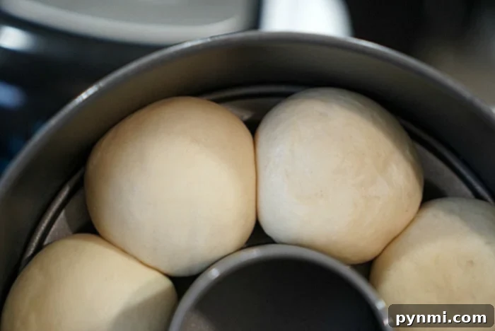 Bake Fluffy Frozen Rolls Easily 6 Easy homemade rolls made from frozen dough