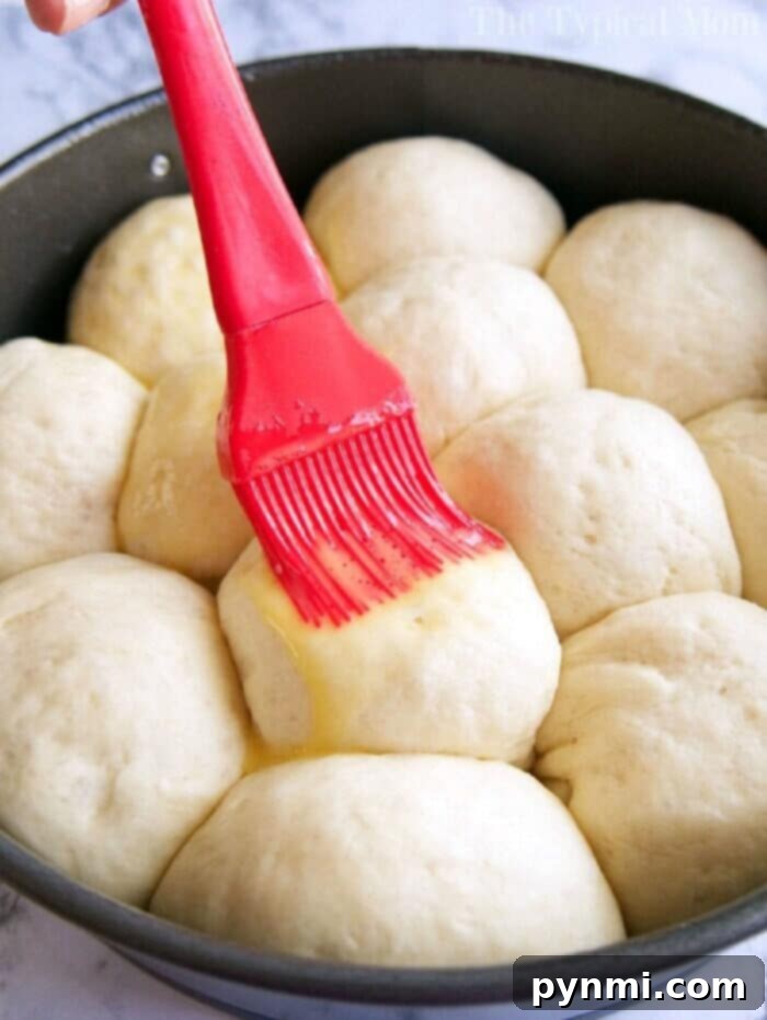 Bake Fluffy Frozen Rolls Easily 7 How to Bake Rhodes Frozen Rolls - Golden and Buttery