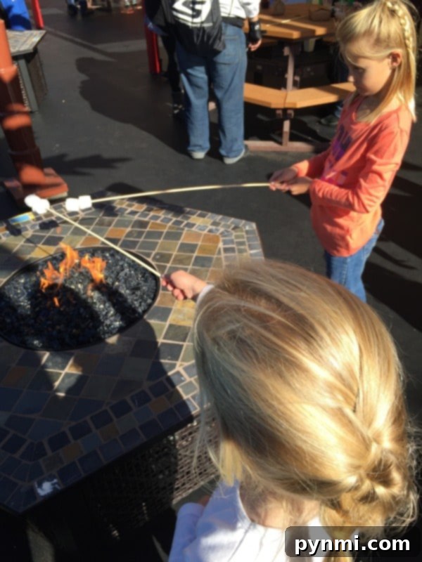Legoland Holiday Snowfest 6 Children roasting marshmallows for s'mores by a fire pit at Legoland Holiday Snow Days.
