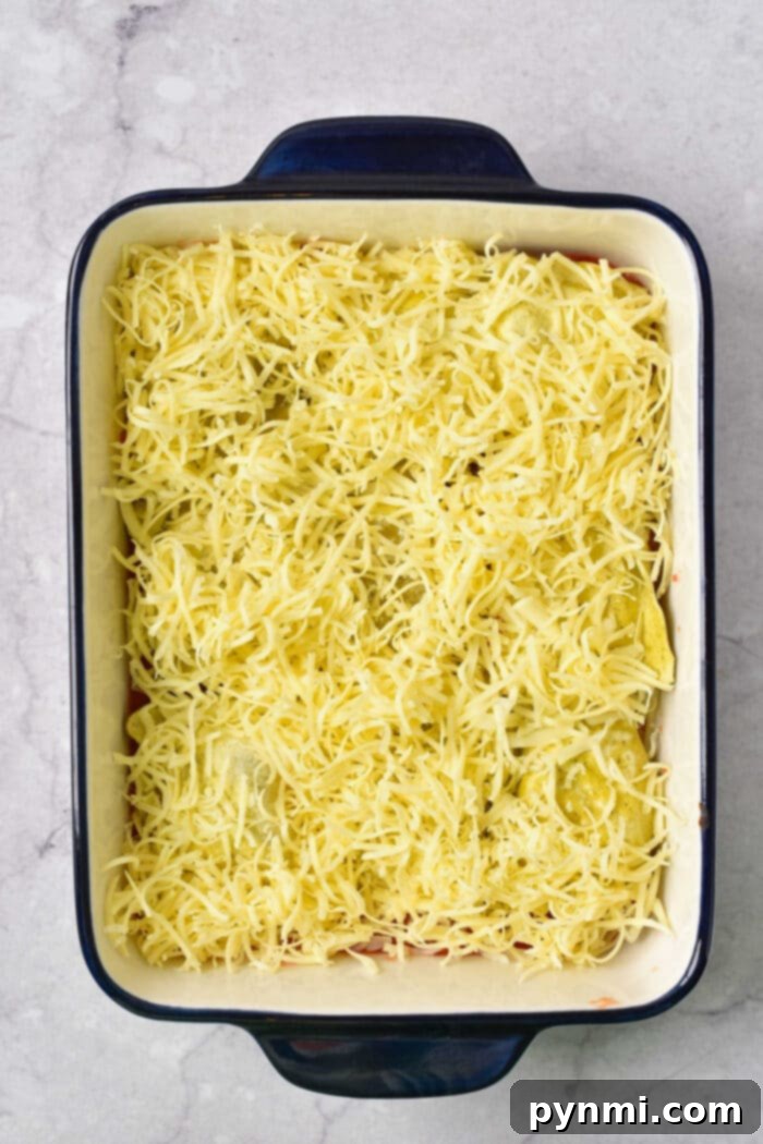 Ravioli Lasagna Bliss 5 Ravioli Casserole - baked to golden perfection