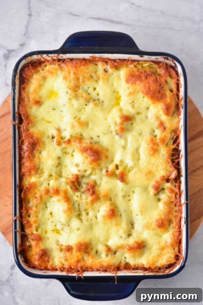 Ravioli Lasagna Bliss 6 Frozen Ravioli Bake - individual serving on a plate