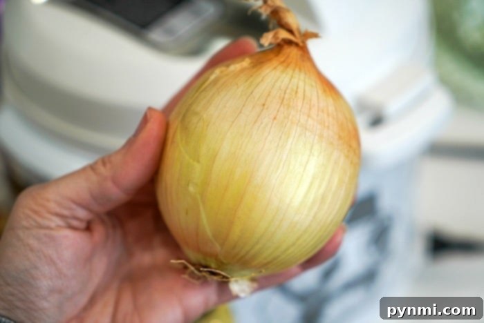Cubed Onion for Kabobs