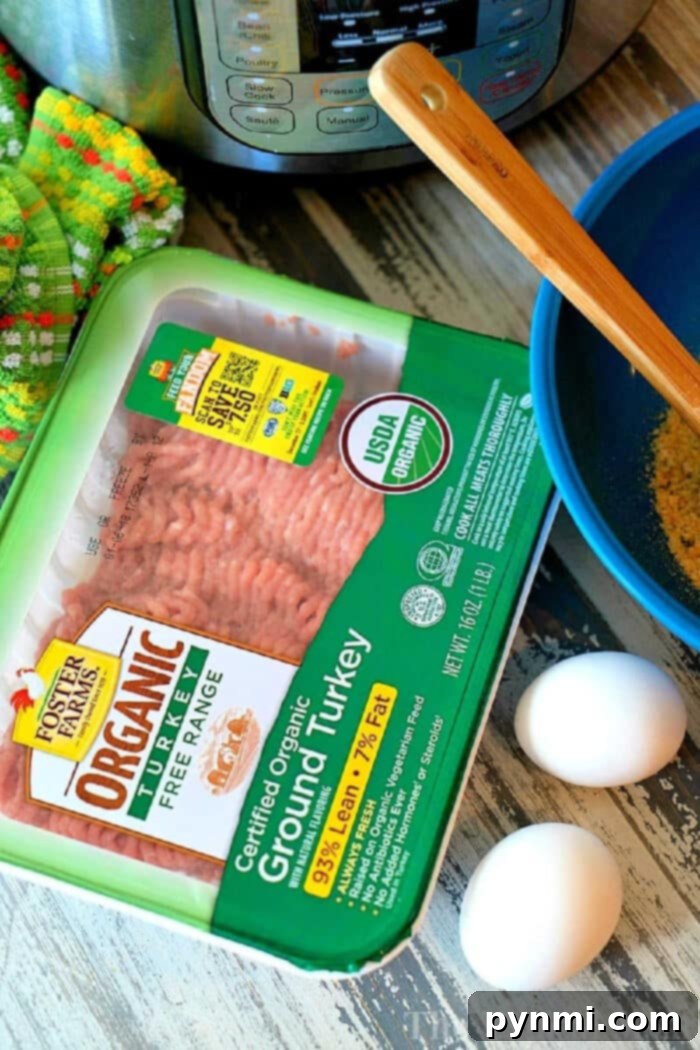 Mastering Ground Turkey 2 How to cook ground turkey perfectly golden brown in a skillet.