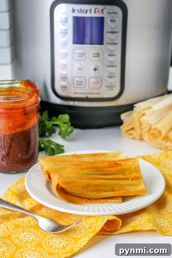 Crafting Authentic Red Tamales From Scratch 9 A plate of two red tamales, garnished with fresh cilantro and lime.
