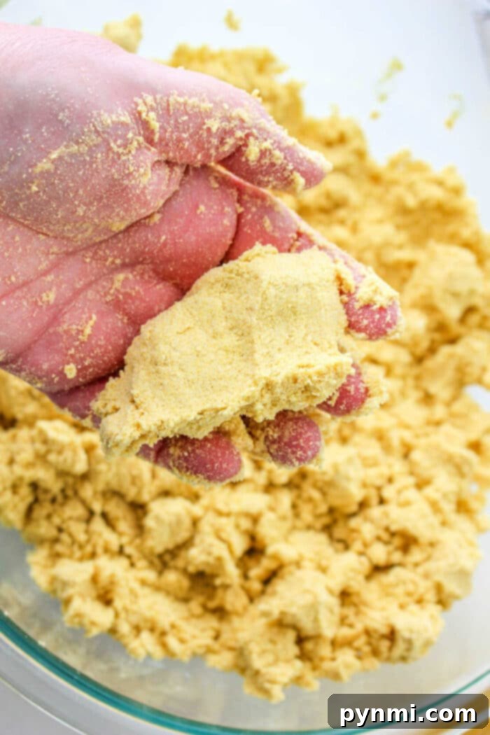 Crafting Perfect Tamales Masa 2 How to Make Tamales Masa