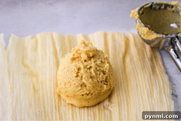 Crafting Perfect Tamales Masa 5 homemade masa