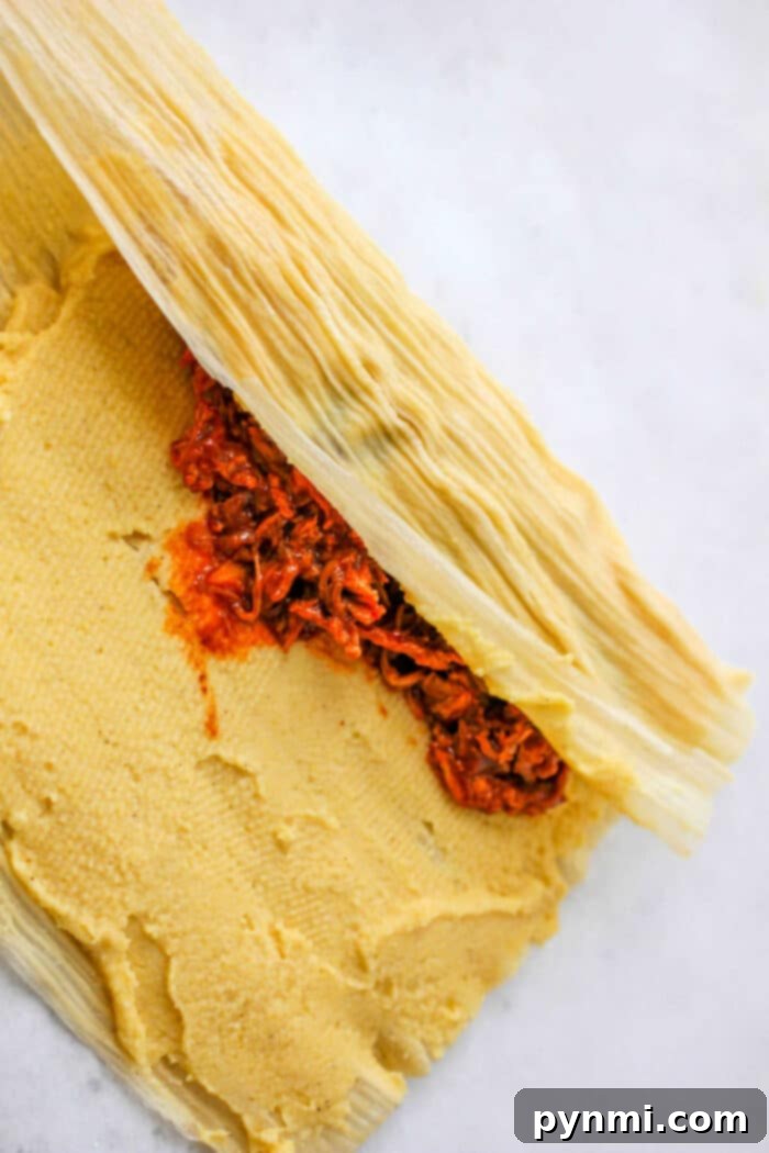 Crafting Perfect Tamales Masa 7 Tamale Filling Ideas