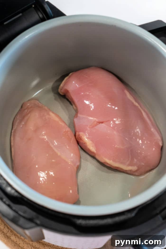 Perfect Ninja Foodi Shredded Chicken 6 Ninja Foodi Pressure Cooker Chicken Breast