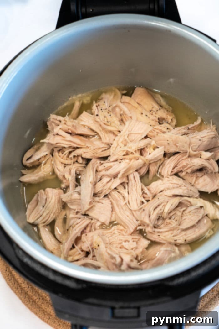 Perfect Ninja Foodi Shredded Chicken 7 shredded chicken ninja foodi
