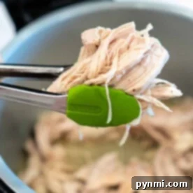 Tongs expertly grasp Ninja Foodi shredded chicken over a simmering pot, showcasing its tender texture.