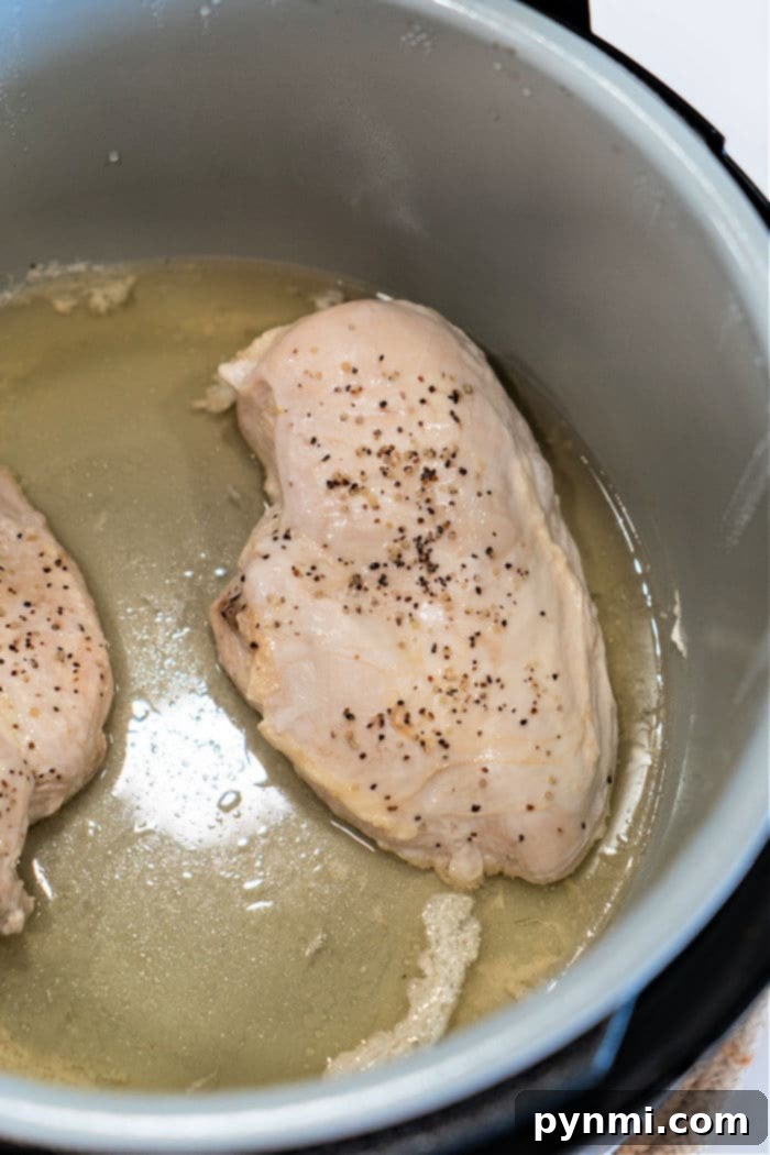 Perfect Ninja Foodi Shredded Chicken 9 ninja pressure cooker chicken breasts