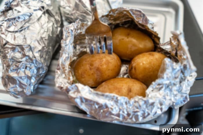 Toaster Oven Tater Transformation 7 petite potatoes in toaster oven