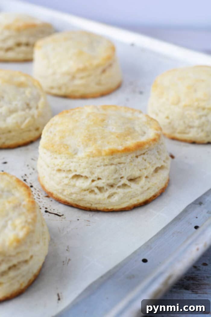 Whataburger Crispy Chicken Delight 5 The final Copycat Whataburger Chicken Biscuit, ready for serving.