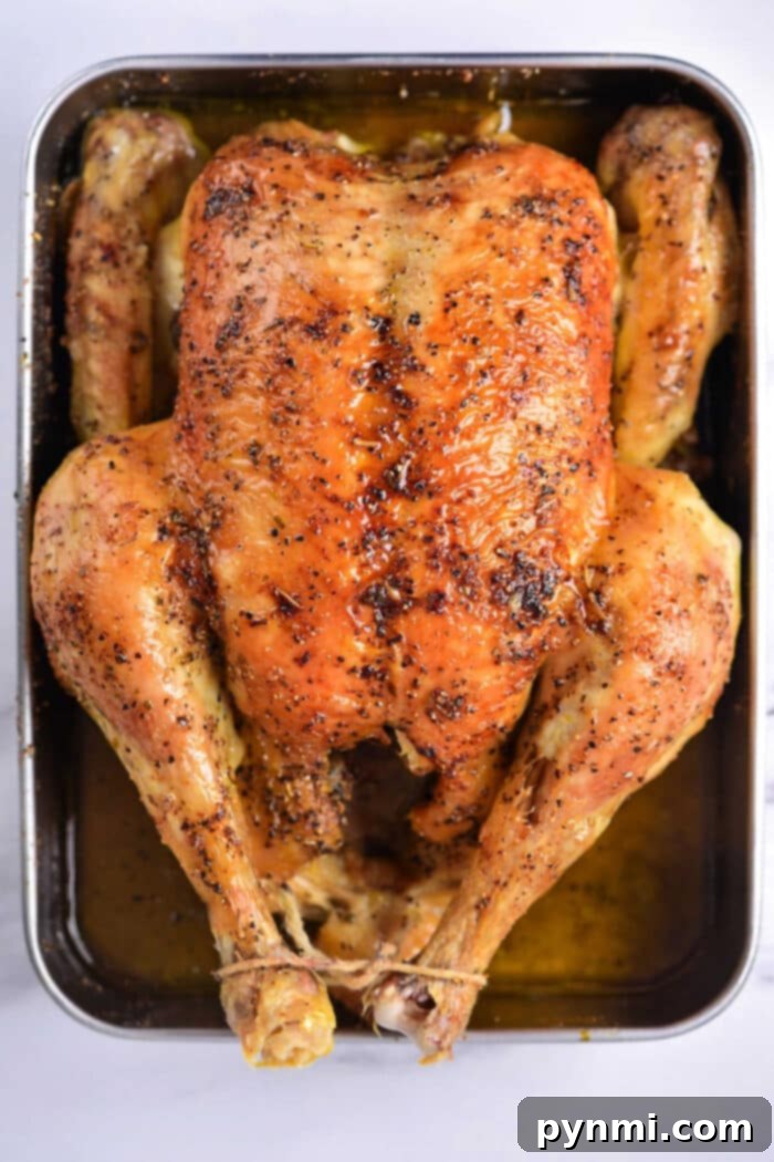 Whole Chicken Cooking Times by Weight 2 how long to cook a whole chicken