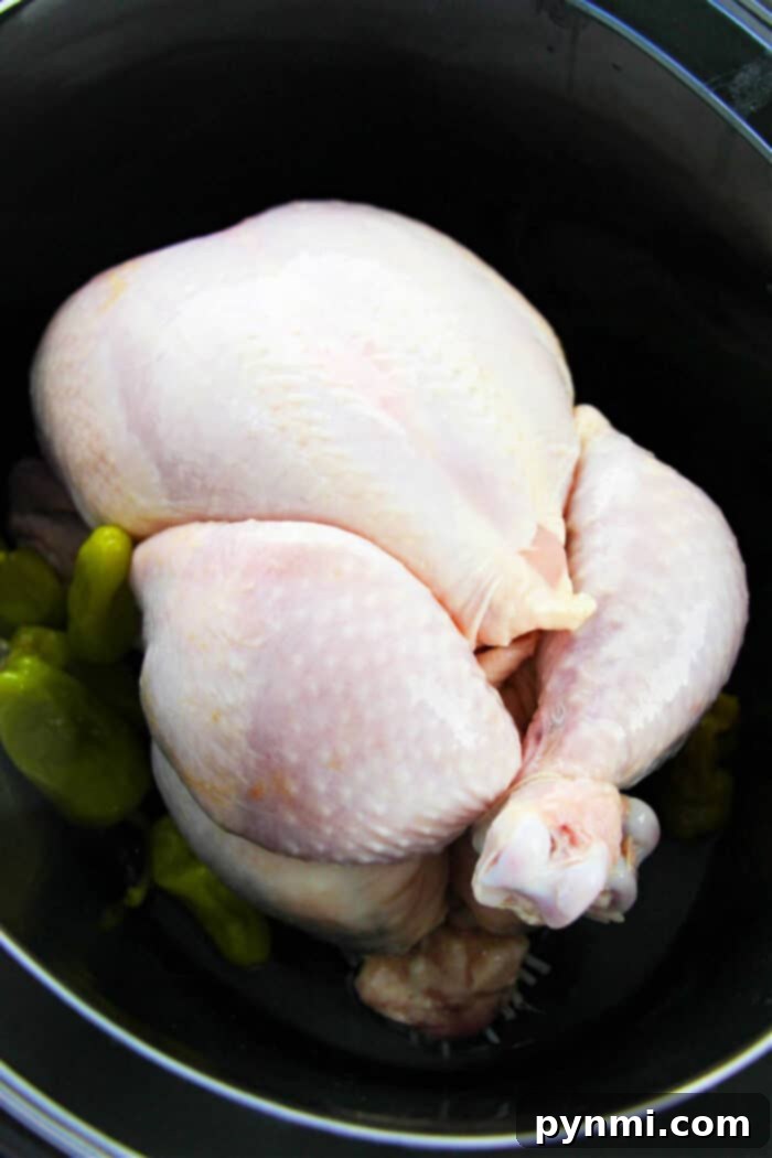 Whole Chicken Cooking Times by Weight 5 Cooking Time for a Whole Chicken