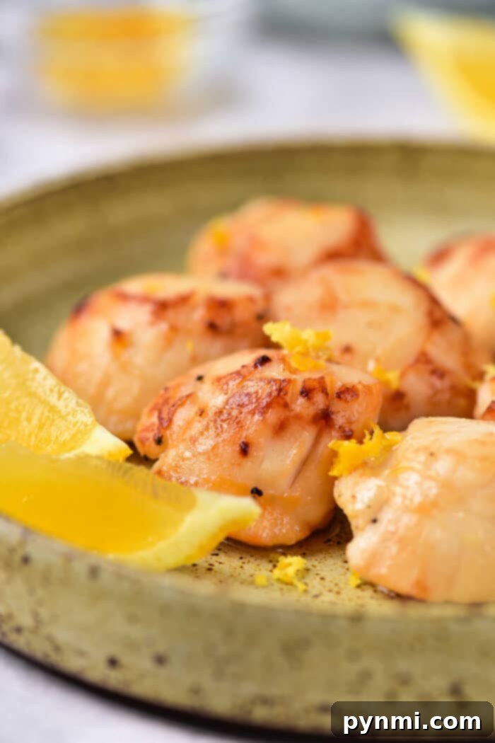 How Long to Cook Scallops