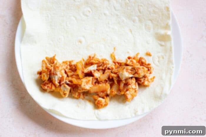 Homemade Chicken Enchilada Recipe