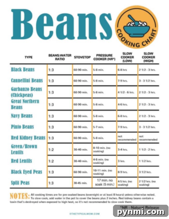 How Long Do Beans Take to Cook