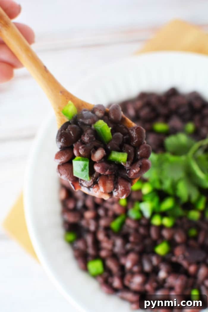 How Long Do Black Beans Take to Cook