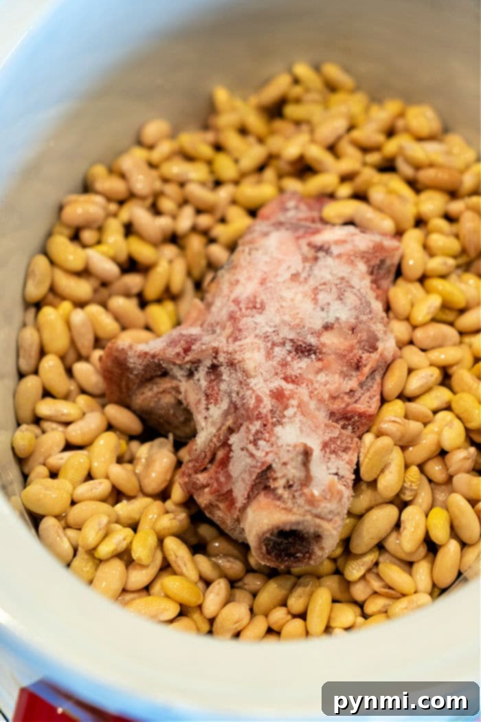 Mayocoba Beans in Slow Cooker
