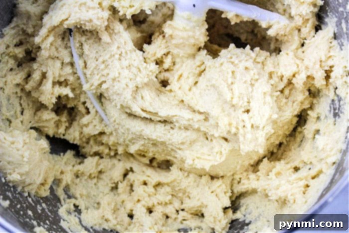 Mastering Cookie Bake Times 6 cookie dough