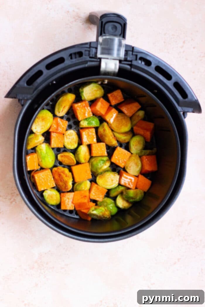 Air-Fried Sweet Potato & Brussels Perfection 5 Air Fryer Brussel Sprouts and Sweet Potatoes close-up