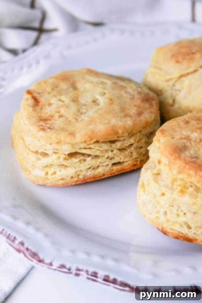 Hardees Biscuits Recipe - freshly baked golden biscuits