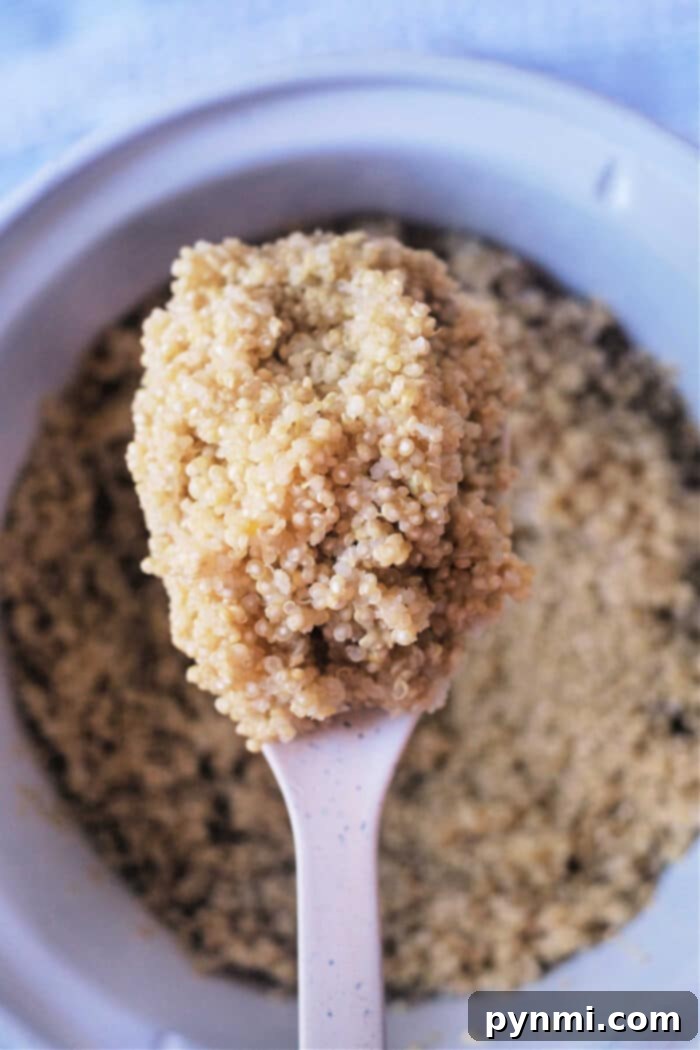 Unlock Fluffy Quinoa: The Secret to Perfect Grain 2 How Long to Cook Quinoa - A bowl of perfectly cooked, fluffy quinoa, ready to be served as a healthy side dish.