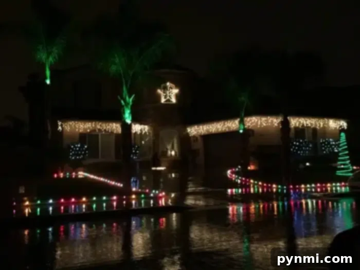 A house in Temecula is decorated with colorful Christmas lights. Green lights illuminate the palm trees, while white and multicolored lights adorn the house and yard. A star decoration is displayed above the entrance, and wet pavement reflects the festive glow at night.