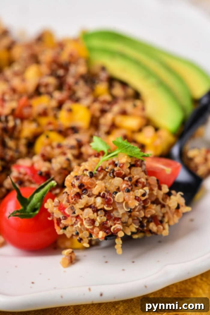 How to Cook Tri Color Quinoa