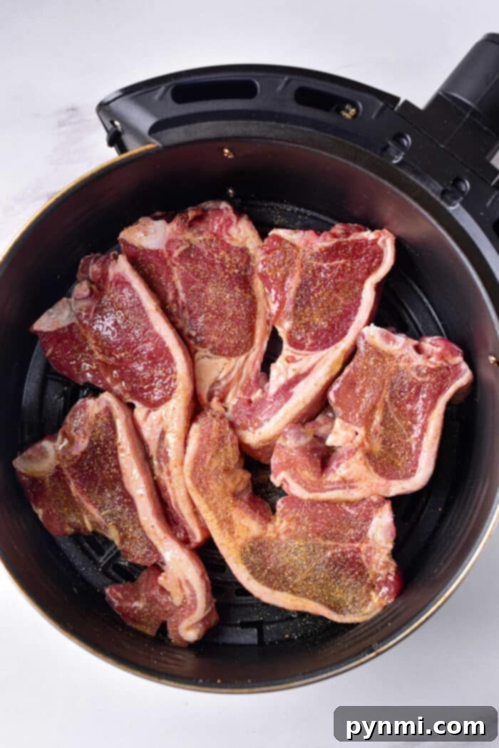Air Frying Lamb Chops Raw lamb chops seasoned with spices are placed in an air fryer basket, ready for cooking. The basket is open, revealing the marbled meat arranged in a single layer against a light background. Wondering how long to cook lamb chops? Achieve perfection by adjusting the timing according to your desired doneness.