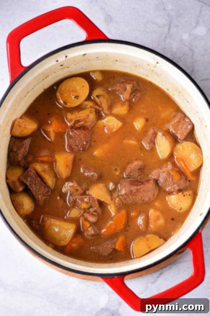 Your Guide to Tender Boiled Meat 5 What to do With Boiling Beef: Tender, pulled oxtail meat served in a rich stew, showcasing the delicious results of properly boiled beef cuts.