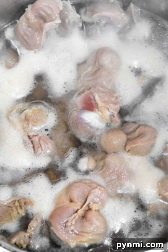 Your Guide to Tender Boiled Meat 6 Boiled Chicken Ready to Shred: A close-up of tender, shredded chicken, demonstrating the perfect texture achieved through careful boiling, ready for various dishes.