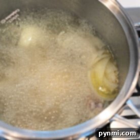A pot of water boils on the stove, with onion slices and meat simmering gently, a visual guide on how to boil meat effectively.
