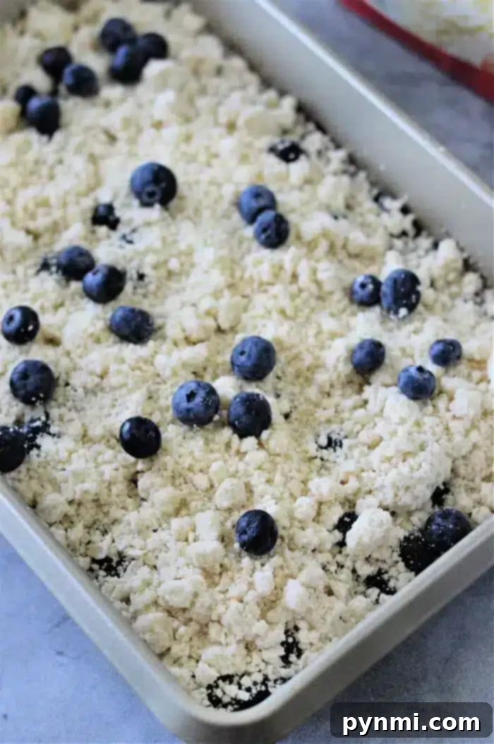 A rectangular baking dish contains an unbaked blueberry cobbler with a crumbly topping scattered with fresh blueberries atop a cake mix. The surface is lightly textured, and the dish sits on a stone-colored surface.