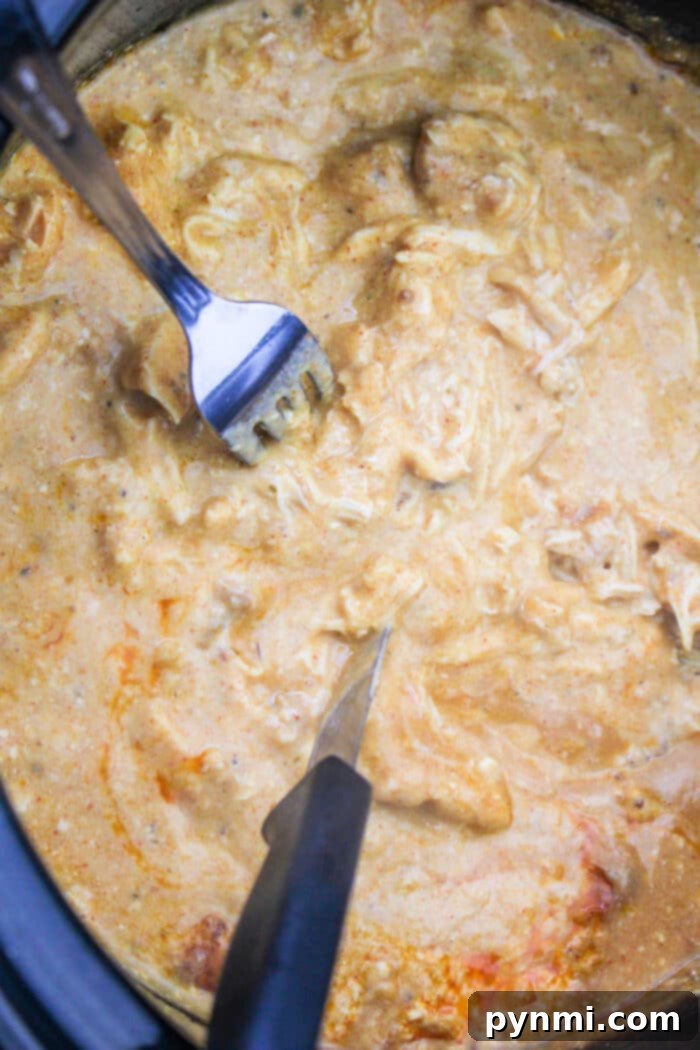 Creamy Slow Cooker Chicken Noodle Delight 4 Slow Cooker Chicken Noodle Casserole with melted cheese and crispy fried onions