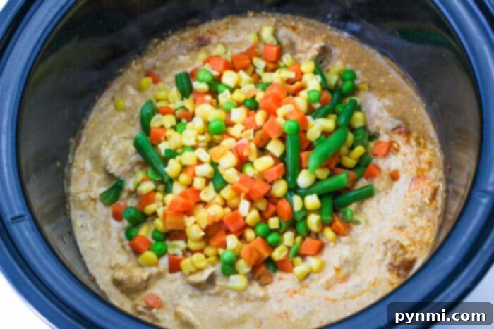 Creamy Slow Cooker Chicken Noodle Delight 5 Portion of Chicken Casserole with Noodles in a bowl, ready to eat