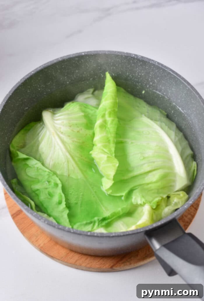 Hearty Cabbage and Sausage Bundles 4 Detailed image illustrating how to blanch cabbage leaves for optimal flexibility in cabbage rolls.