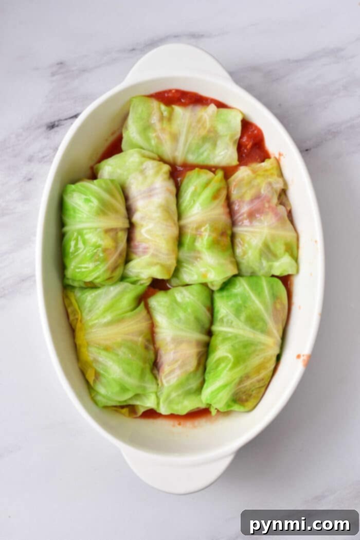 Hearty Cabbage and Sausage Bundles 5 A baking dish filled with delicious, oven-baked Cabbage Rolls in the Oven, ready to be served.